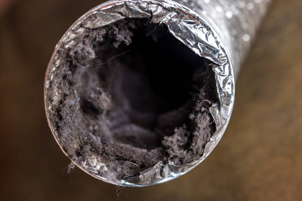 Best Home Air Vent Cleaning  in Watertown, FL