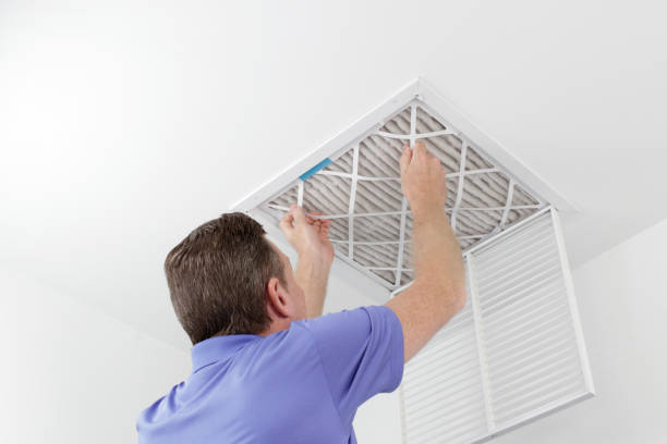 Air Duct Mold Removal in FL